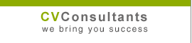cv consultants logo