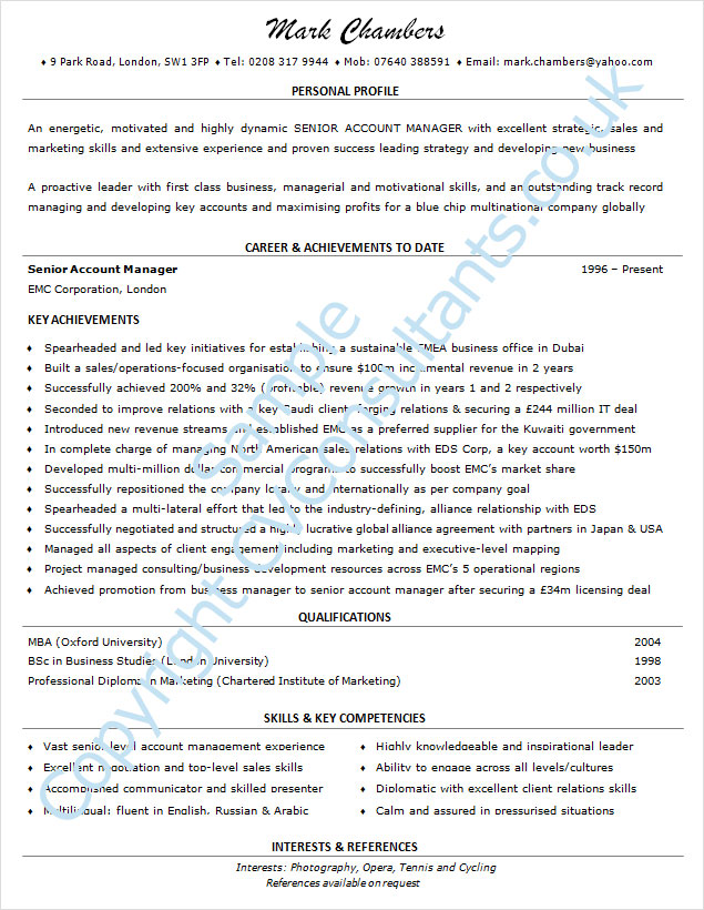 good CV template example