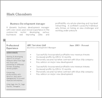 Curriculum Vitae Template